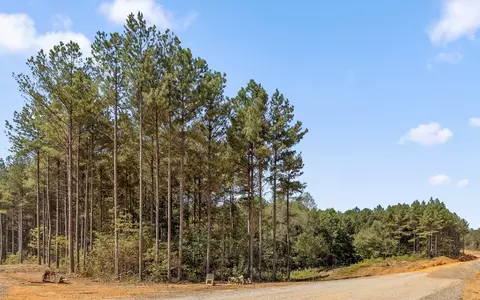 2055 Melody Dr, Guild, TN 37340 photo 11