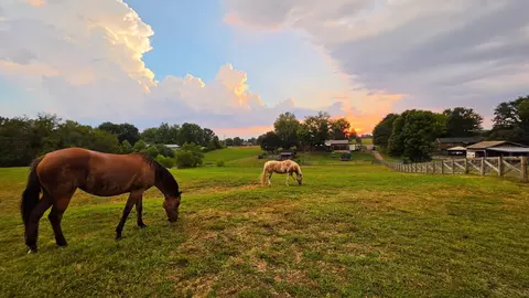 175 Bettis Rd, Lebanon, TN 37090