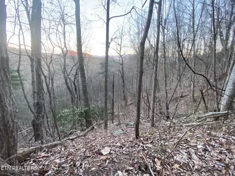 35 Elderberry Dr, Sevierville, TN 37876