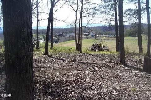 4 Flat Creek Rd, Sevierville, TN 37876
