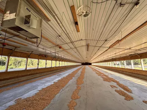 Other - 1090 Hatcher Rd, Moss, TN 38575 photo 5 of 21