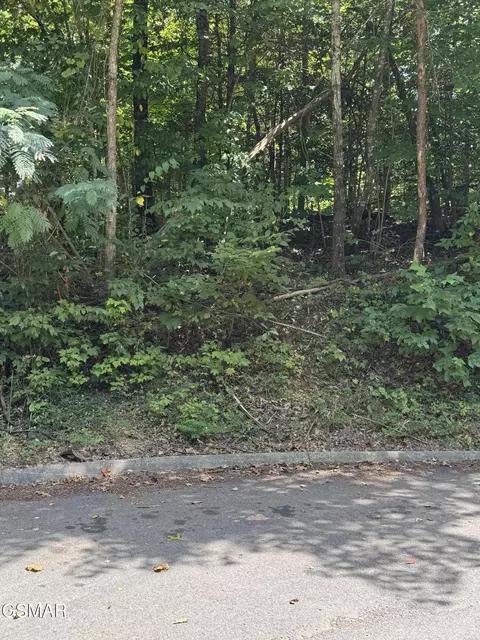 0 Sb Ogle Ln, Pigeon Forge, TN 37876