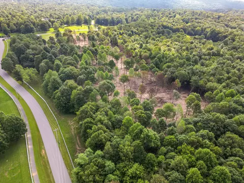 42 Deerpoint Rd, Dunlap, TN 37327 photo 11