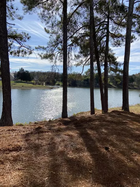 48 Inlet Dr, Rock Spring, GA 30739 photo 5