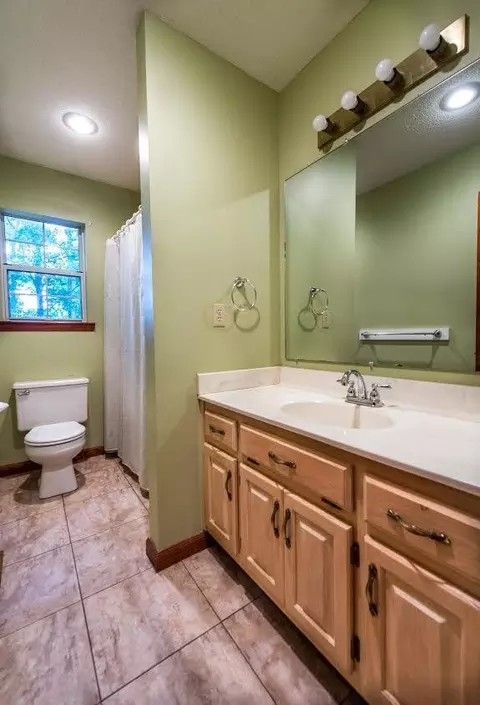 253 Detha Ln, Ringgold, GA 30736 photo 15