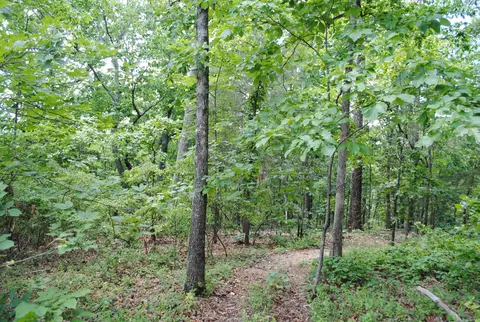9027 Bryan Rd, Harrison, TN 37341 photo 3