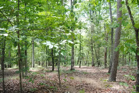 9027 Bryan Rd, Harrison, TN 37341 photo 2