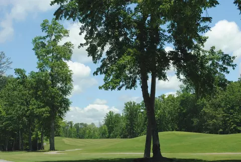 9027 Bryan Rd, Harrison, TN 37341 photo 9