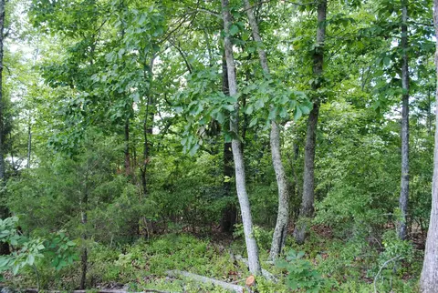9027 Bryan Rd, Harrison, TN 37341 photo 5