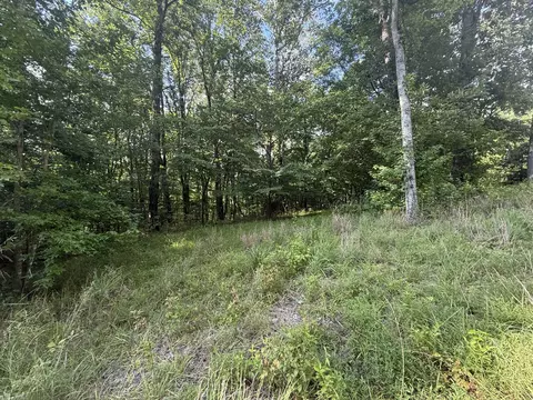 0 Willow Hollow Rd, Clarksville, TN 37043