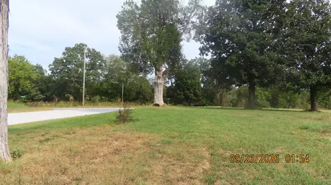 263 Saint John Rd, Denmark, TN 38391 photo 5