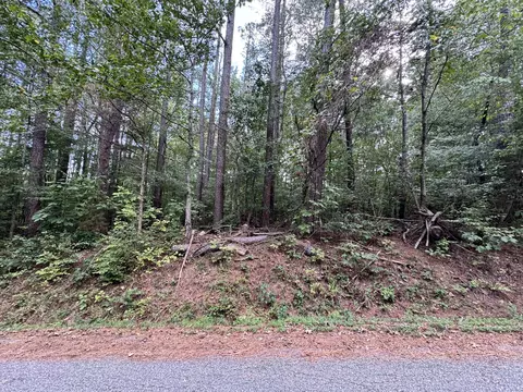 0 Forest Trl, Bumpus Mills, TN 37028