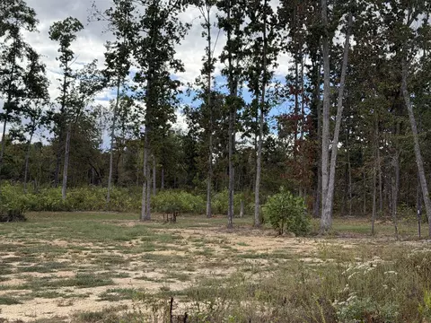 0 Brinkley Rd, Wartrace, TN 37183