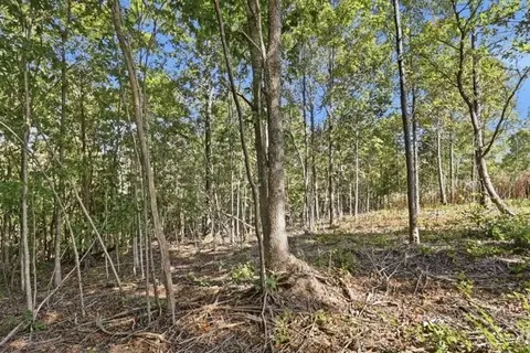 468 Streamside Dr, Dover, TN 37058 photo 3