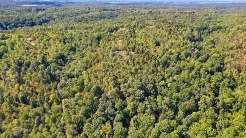 468 Streamside Dr, Dover, TN 37058 photo 20