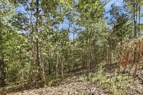 468 Streamside Dr, Dover, TN 37058 photo 10