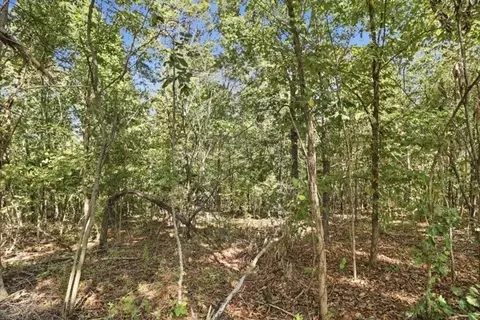468 Streamside Dr, Dover, TN 37058 photo 9