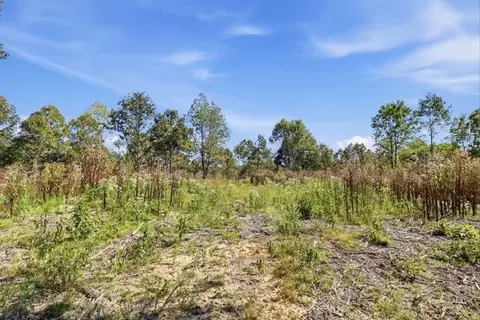 468 Streamside Dr, Dover, TN 37058 photo 5