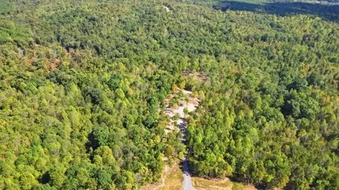 468 Streamside Dr, Dover, TN 37058 photo 16