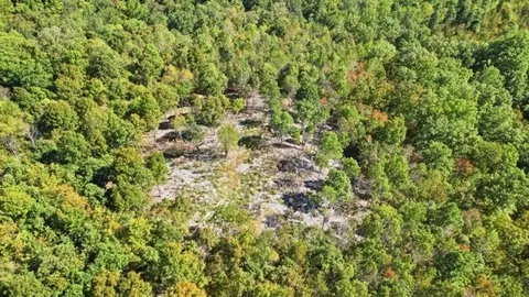 468 Streamside Dr, Dover, TN 37058 photo 14