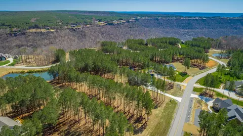 0 Crockett Loop, Jasper, TN 37347 photo 46