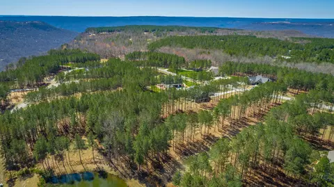 0 Crockett Loop, Jasper, TN 37347 photo 44