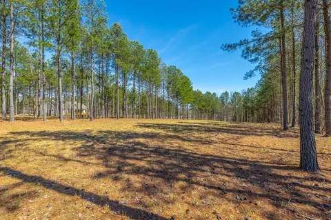 0 Crockett Loop, Jasper, TN 37347 photo 3