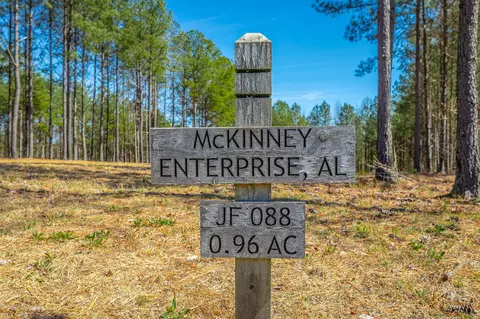 0 Crockett Loop, Jasper, TN 37347 photo 8