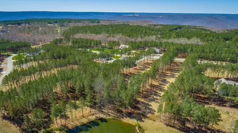 0 Crockett Loop, Jasper, TN 37347 photo 43
