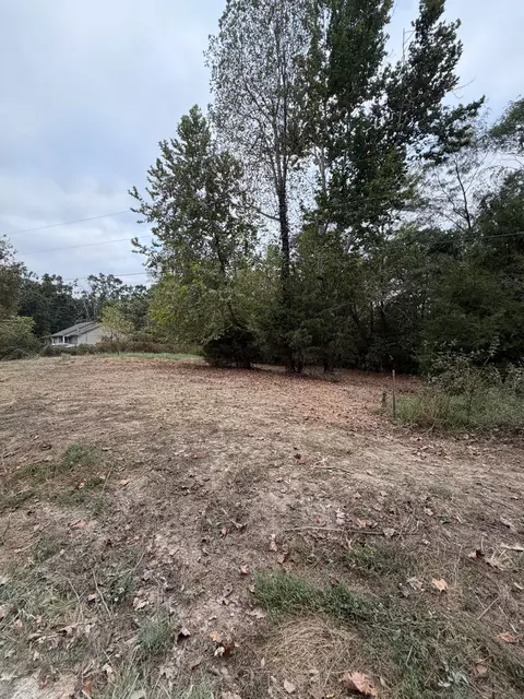 2218 Gina Ln, Mount Pleasant, TN 38474