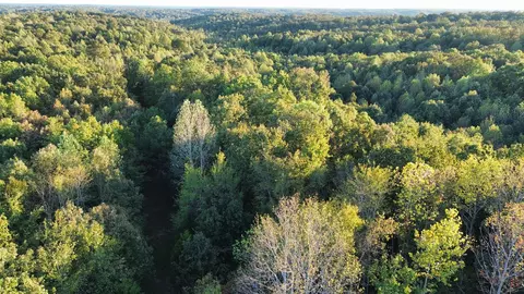 565 Lucas Ridge Ln, Waverly, TN 37185