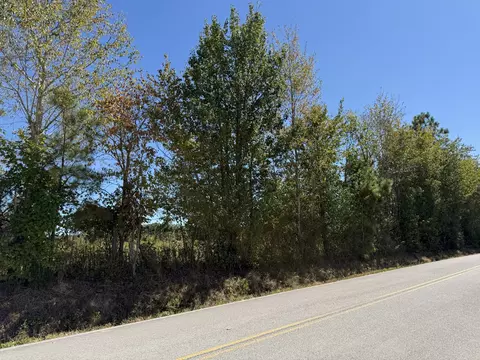 0 Old Florence Pulaski Rd, Leoma, TN 38468