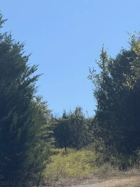 0 Bryant Ln, Woodbury, TN 37190