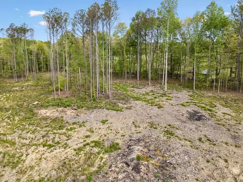 3 Pleasant Ridge Rd, Goodspring, TN 38460 photo 6