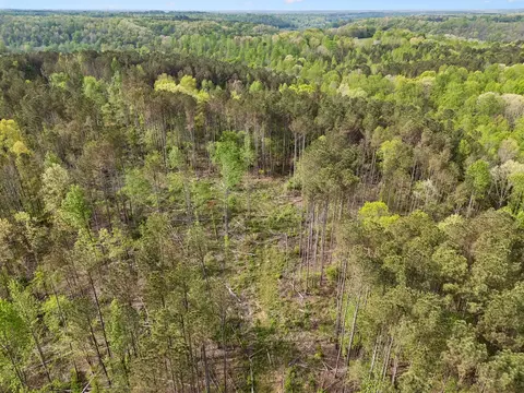 3 Pleasant Ridge Rd, Goodspring, TN 38460 photo 11
