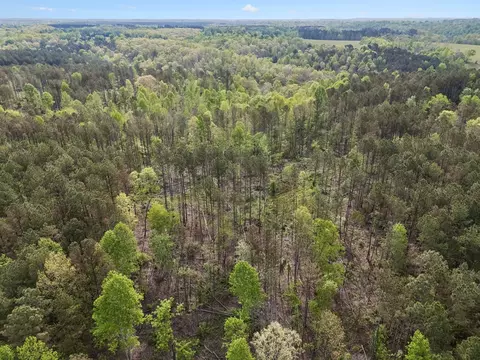 3 Pleasant Ridge Rd, Goodspring, TN 38460 photo 12