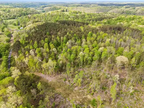 3 Pleasant Ridge Rd, Goodspring, TN 38460 photo 13