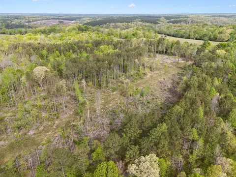 3 Pleasant Ridge Rd, Goodspring, TN 38460 photo 14