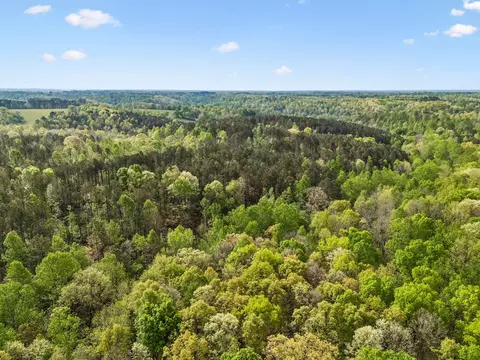 3 Pleasant Ridge Rd, Goodspring, TN 38460 photo 10