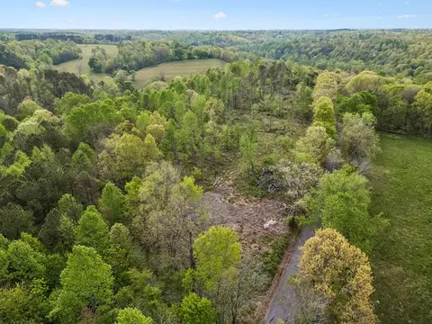 3 Pleasant Ridge Rd, Goodspring, TN 38460 photo 27
