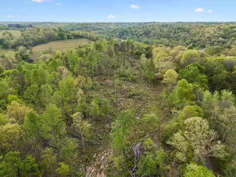 3 Pleasant Ridge Rd, Goodspring, TN 38460 photo 28