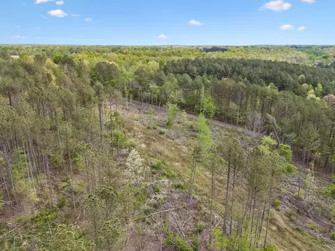3 Pleasant Ridge Rd, Goodspring, TN 38460 photo 23