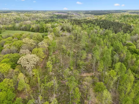 3 Pleasant Ridge Rd, Goodspring, TN 38460 photo 20