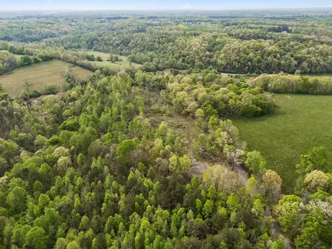 3 Pleasant Ridge Rd, Goodspring, TN 38460 photo 26