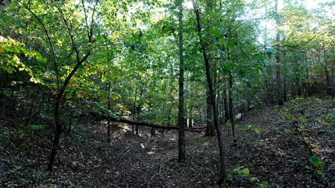 1 Ables Rd, Cherokee, AL 35616 photo 4
