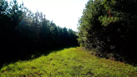 1 Ables Rd, Cherokee, AL 35616 photo 3