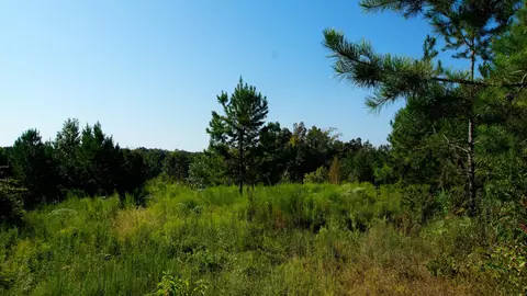 1 Ables Rd, Cherokee, AL 35616 photo 7