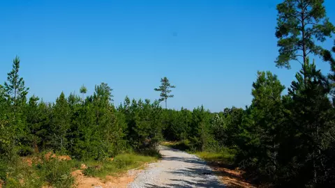 1 Ables Rd, Cherokee, AL 35616 photo 8