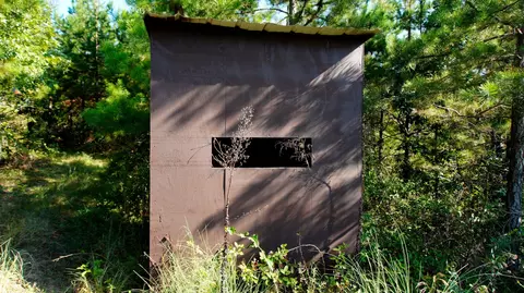 1 Ables Rd, Cherokee, AL 35616 photo 6