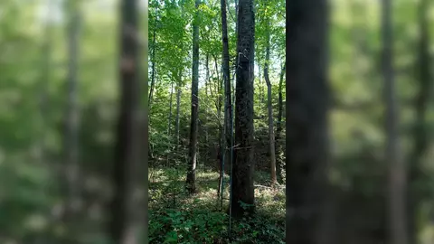 2 Ables Rd, Cherokee, AL 35616 photo 4